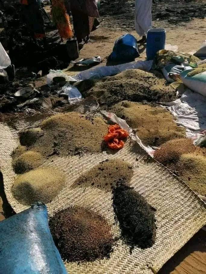 Abdul Wahid Mohamed EL NUR on Twitter "In the massive Janjaweed