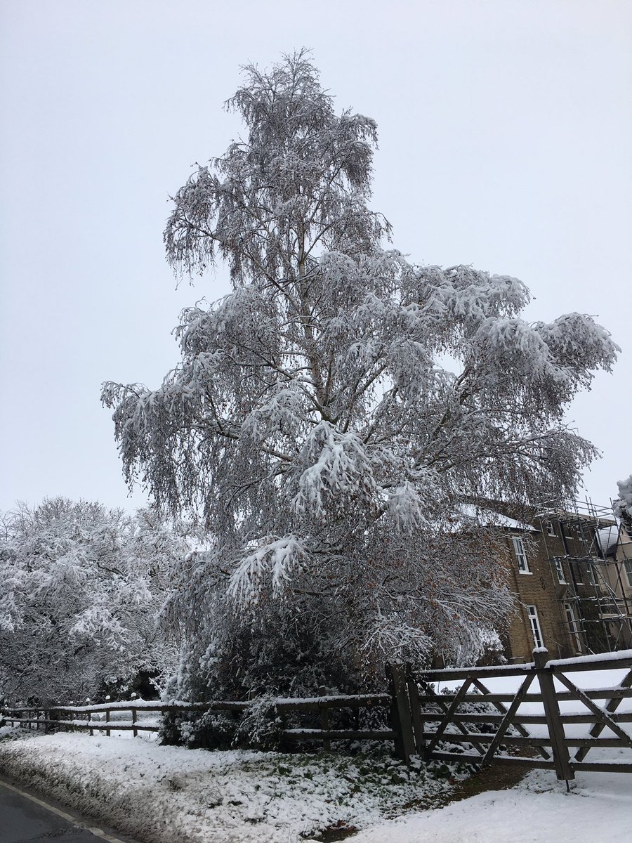 Galaxy Baits tweet media