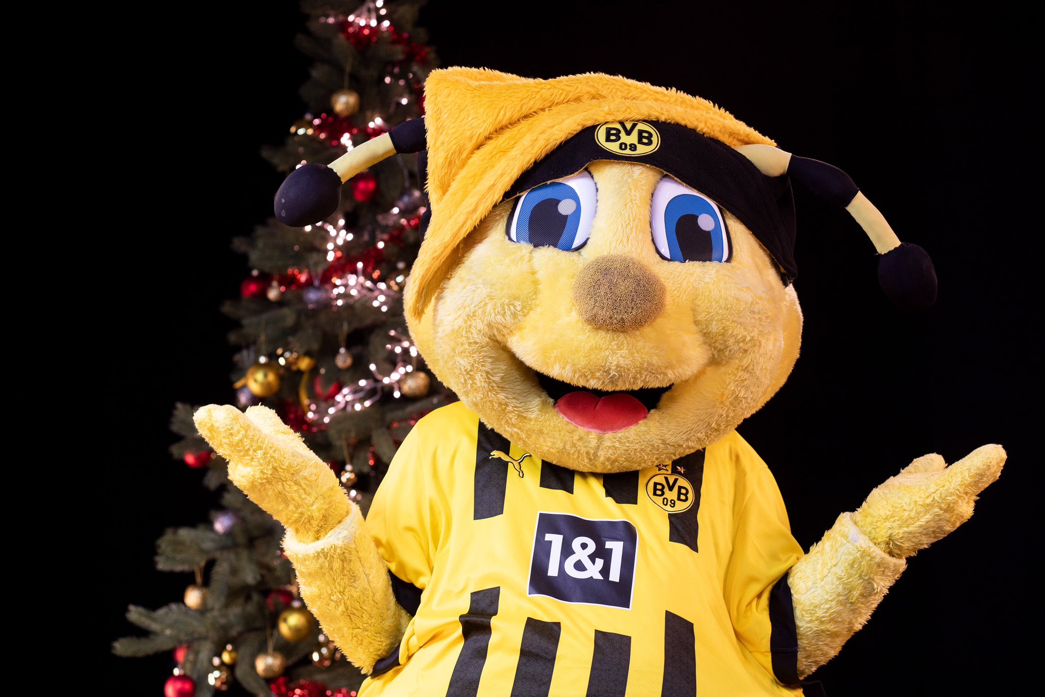 Borussia Dortmund on Twitter "🎅 Na, wie sieht euer 🎄 aus? Packt Fotos