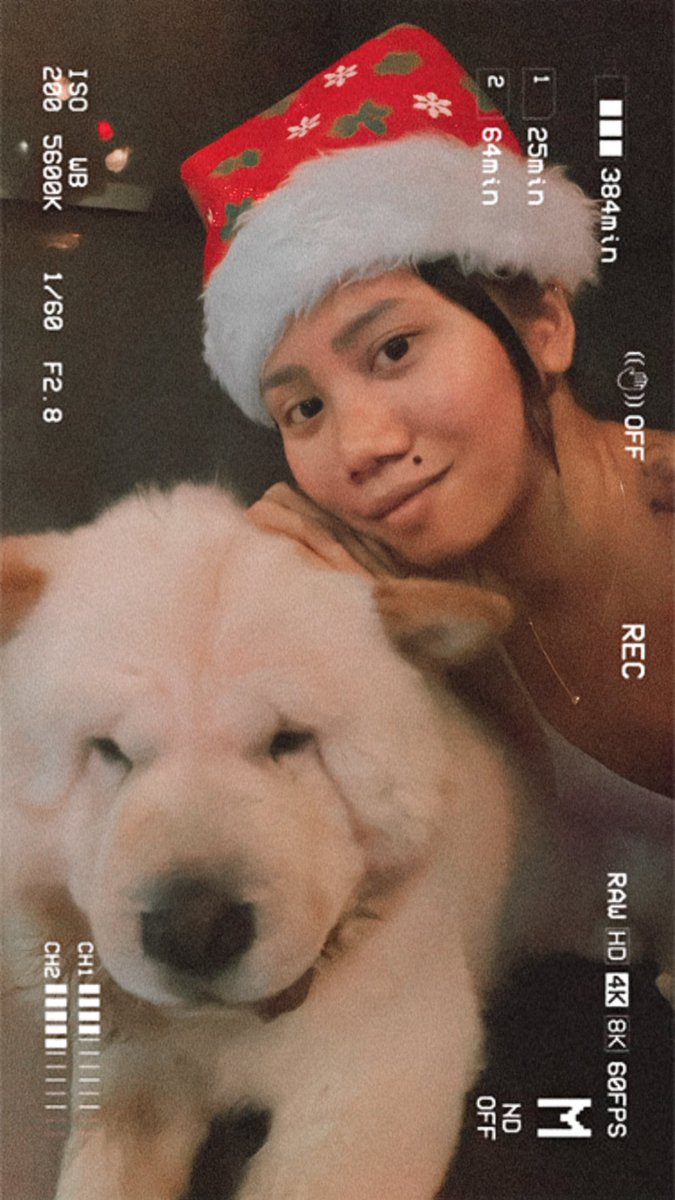 jerbeeness's tweet photo. Happy Holidays!🧑‍🎄🎄❤️ https://t.co/ryn6frPZ8E