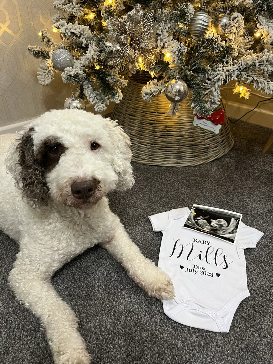 Ste Mills tweet media