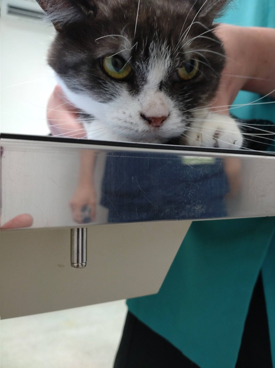 八雲＠社会不適合者 tweet media