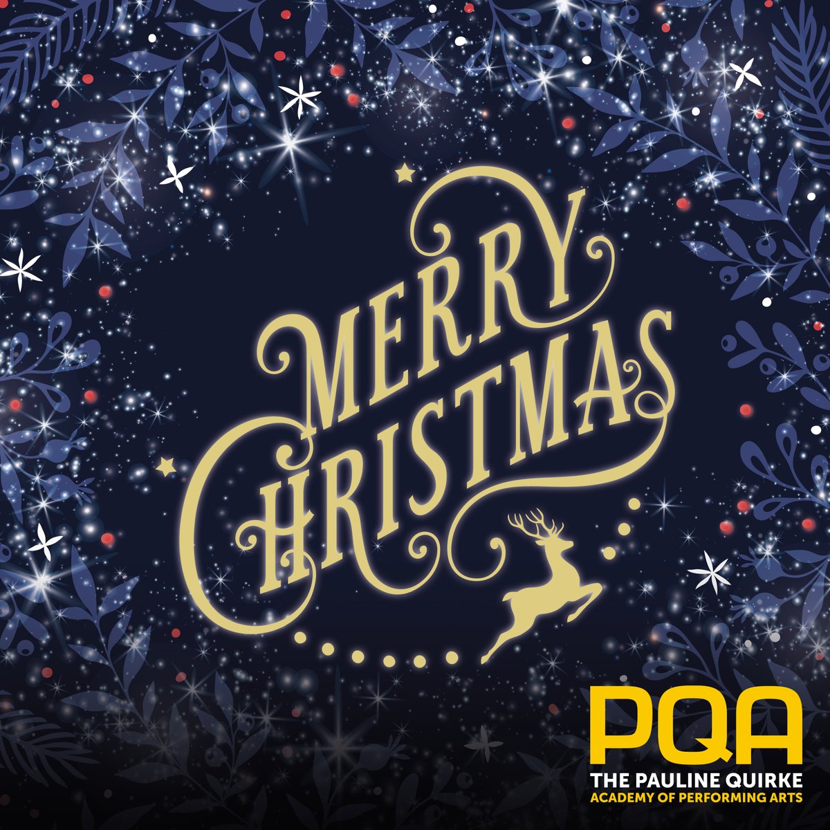 🎄 MERRY CHRISTMAS PQA'ERS! 🎄 We hope you have a wonderful Christmas with all the delicious food and quality time with your loved ones ⭐#MerryChristmas 🎅