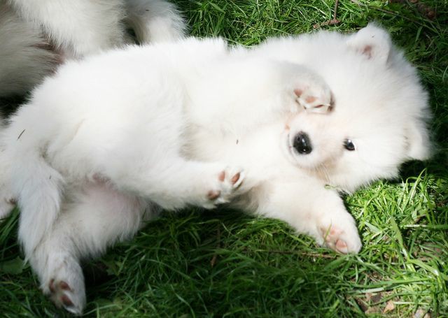 ︎ ︎

︎ ︎
︎ ︎

︎ ︎