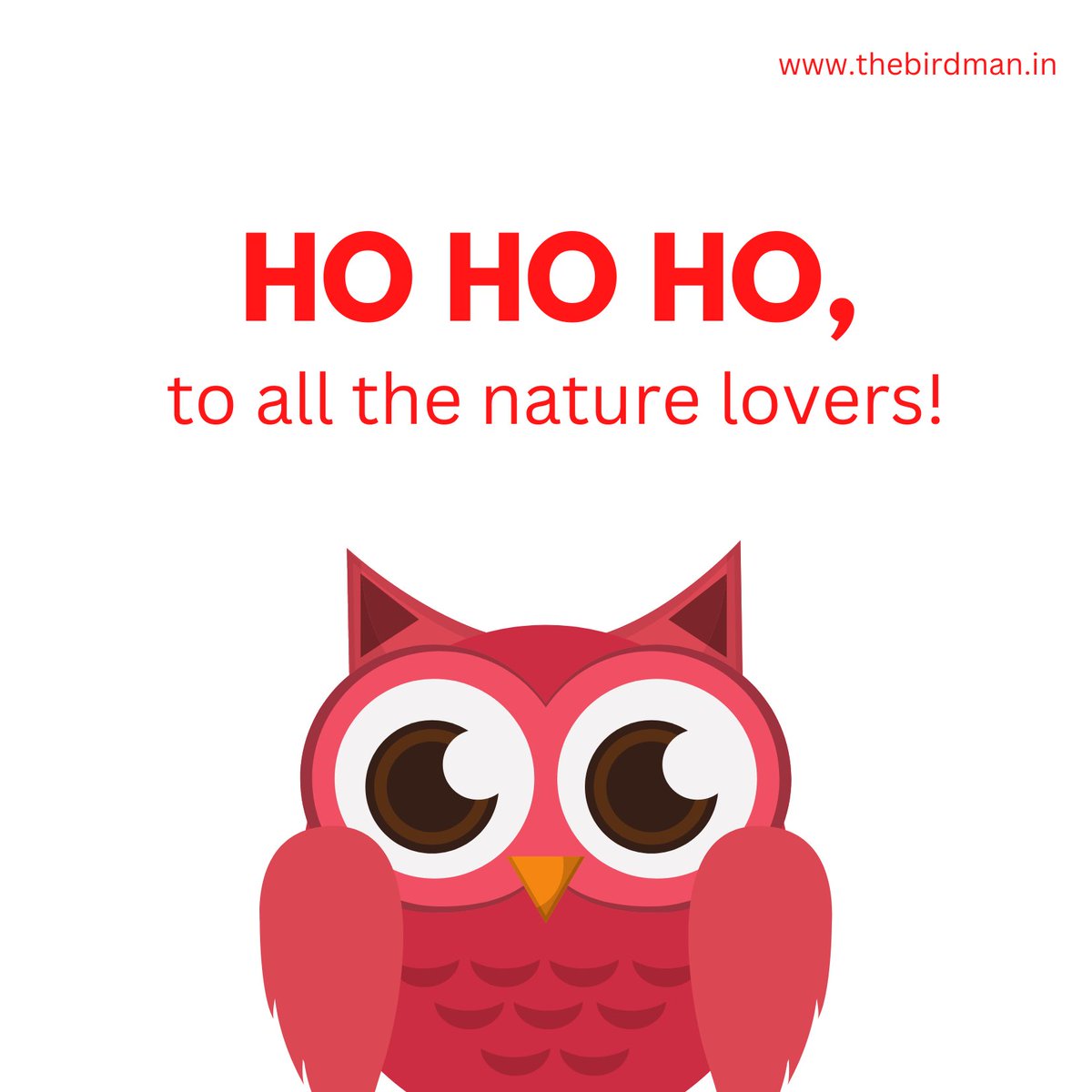 We wish you a #merrychristmas🎄to all the #naturelovers and #birdwatchers