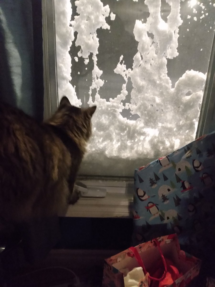 AnneBiggar's tweet photo. @strategywoman Big storm here but glad to be safely at home. Wishing you a peaceful Christmas 🎄 https://t.co/6ZTiK7ZndR