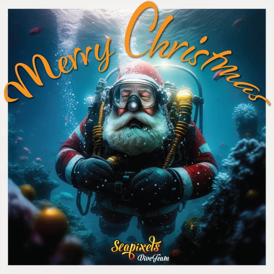 Seapixels's tweet image. Merry Christmas from the Seapixels dive team! May all your diving wishes come true!

#seapixels #seapixelsdiveteam #mylifeyourdream #merrychristmas