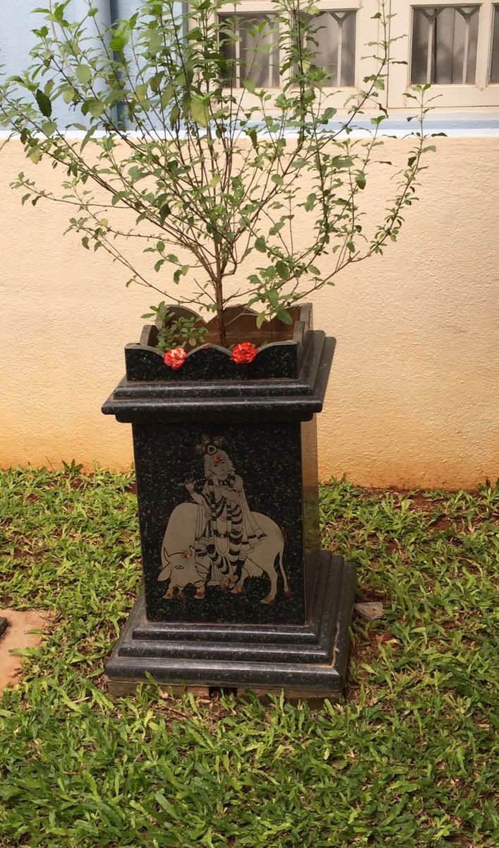 mayurbehera7's tweet photo. तुलसी श्रीर्महालक्ष्मीर्विद्याविद्या यशस्विनी।

 धर्म्या धर्मानना देवी देवीदेवमन: प्रिया।।

 लभते सुतरां भक्तिमन्ते विष्णुपदं लभेत्।

 आप सभी को #तुलसी_पूजन_दिवस की हार्दिक शुभकामनाएं.

 #TulsiPujanDiwas #25thDecember https://t.co/KP1KsLIPul