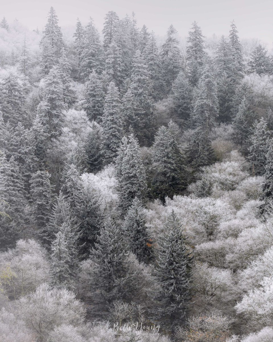 Beth Young tweet media