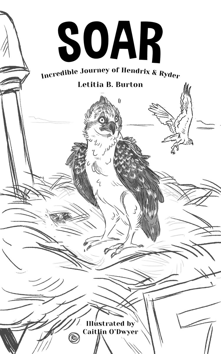 Couldn't be more happy with Caitlin O'Dwyer's illustration of Hendrix! Go buy a copy of my book on amazon if you haven't already: amazon.com/Soar-Incredibl…