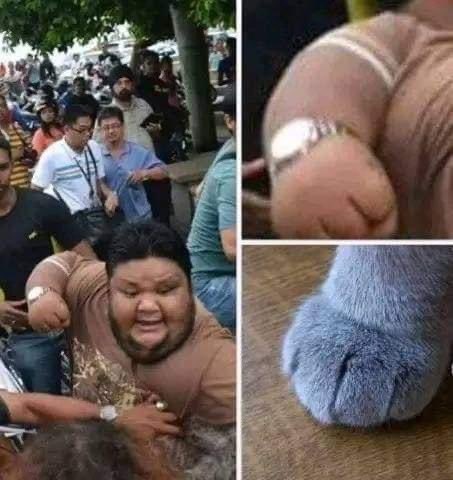 Golpe de ternura 🥰