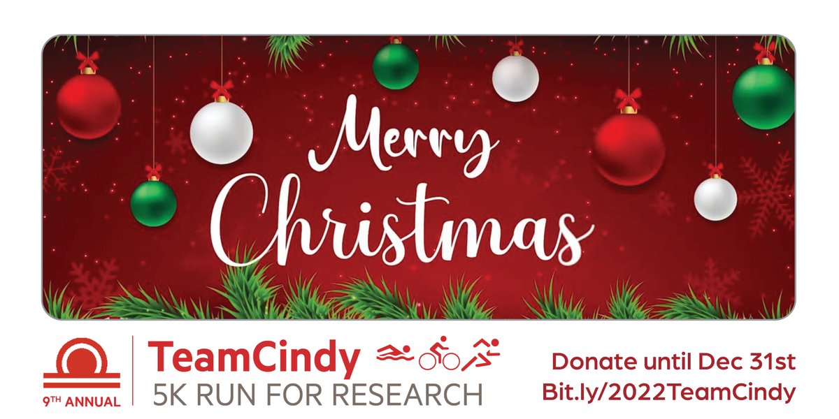 For all those who celebrate, sharing warm &amp; joyous wishes to each of you this #Christmas! Our event might be over, but you can still donate through Bit.ly/2022TeamCindy until Dec 31 - All proceeds benefit @bafound in partnership with @mountsinainyc. #Brain #Aneurysm #Research