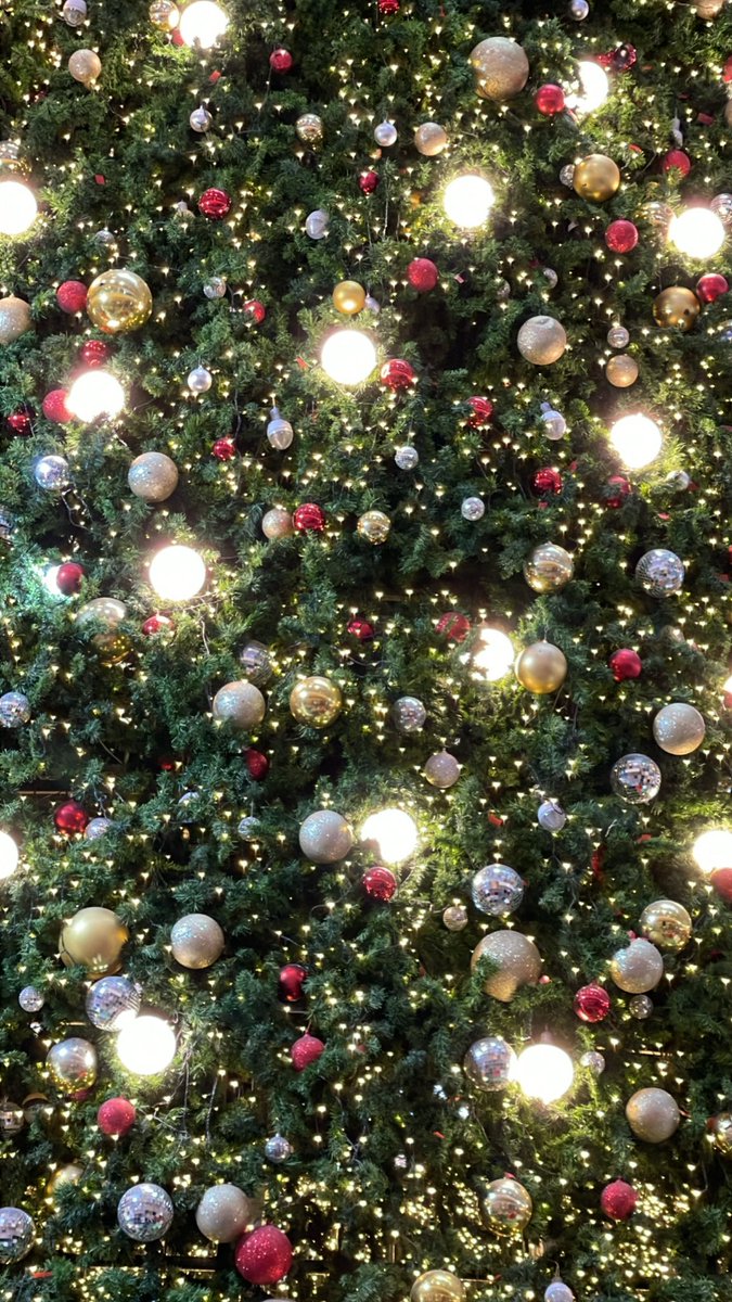peatsuchanon's tweet photo. Merry Christmas!! 🎄 https://t.co/kt0Q6t26vh