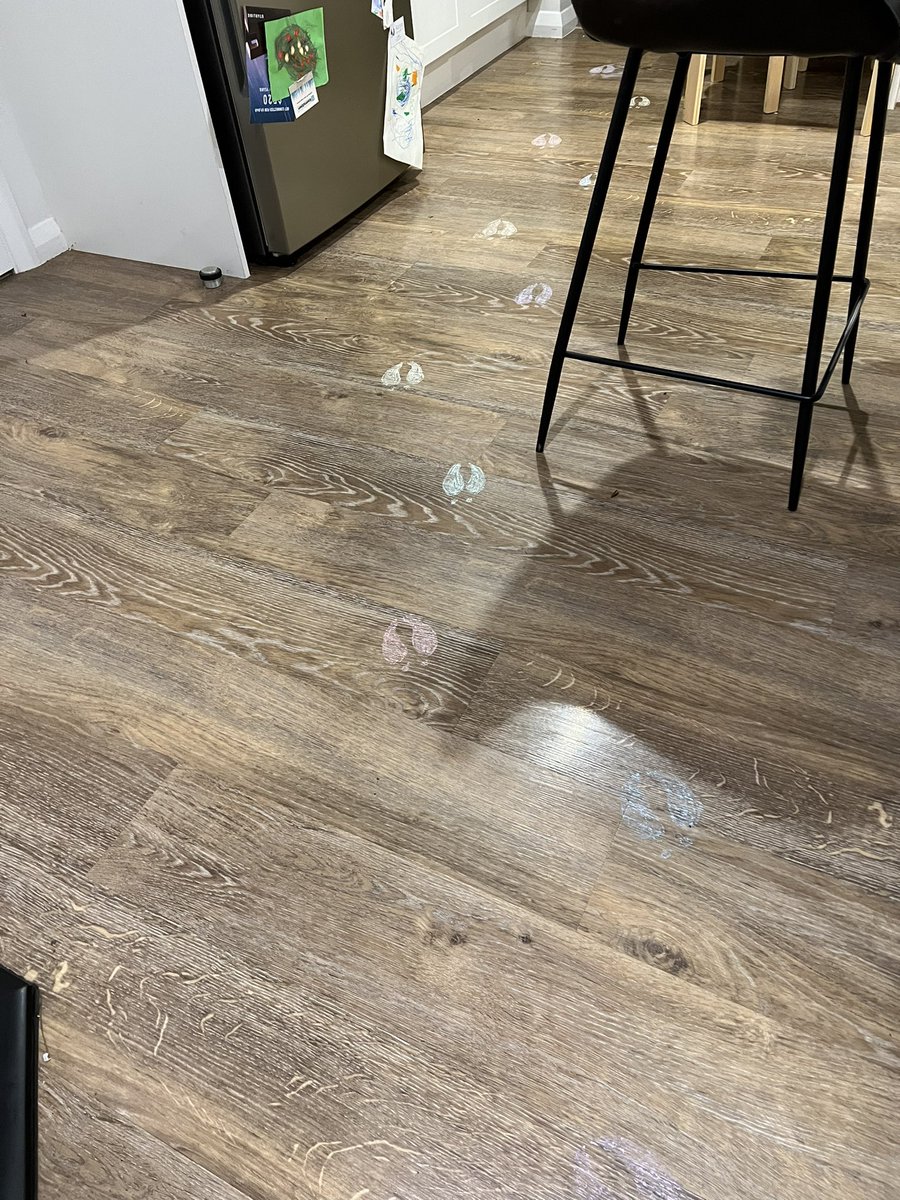 Bit of fun creating some magic last night! Great delight this morning! Meri Kirihimete Twitter friends! (I know the anatomy and feet of Rudolph are slightly less than adequate!!!)