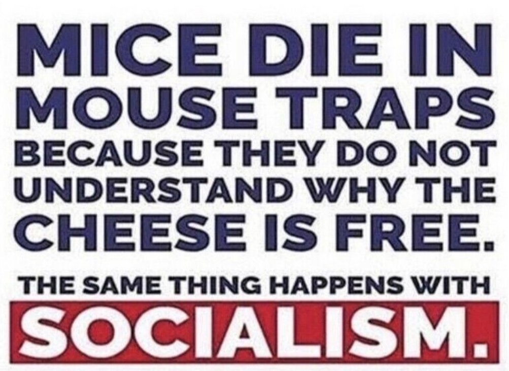 Vote against every Democrat &amp; RINO!🇺🇸💥👇