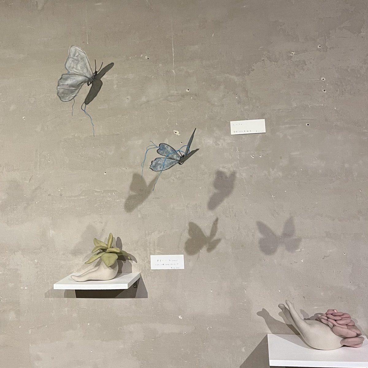 ※29日まで会期延長とのことです。
先日お茶をしてきまして
ギャラリーでの展示は影を作り、それをみてそっと座っている素敵な作品達でした。
   ↓ ✨
「井越有紀 jobin. 二人展 」
『そよと ふく 』
〜12/29(最終日19時まで)
TO OV cafe / gallery
(札幌市中央区南9条西3丁目2-1) 