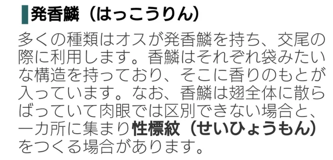 わたくし、オベがベッドでゴロゴロしたらシーツに鱗粉付きそうだな〜と軽い気持ちで考えてただけなんですけど、専門的なことを調べてみたら鱗粉に関してこんな記載があったので一部ご紹介しておきますね。まったくもうオベったら……虫なんだから………/// 