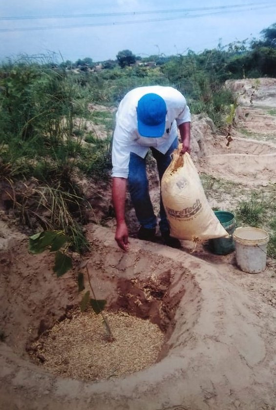 prabhatmisra's tweet photo. In 2018-19, when I had additional charge of #BlockDevelopmentOfficer #Firozabad (#UP, #India), I did plantation in #FaraulNagariya village situated in ravine area on riverbank of Yamuna, which has now become a #forest. Video has been sent by former village head Mr Aji Ram Rajput. https://t.co/qJ0Jpwtniq