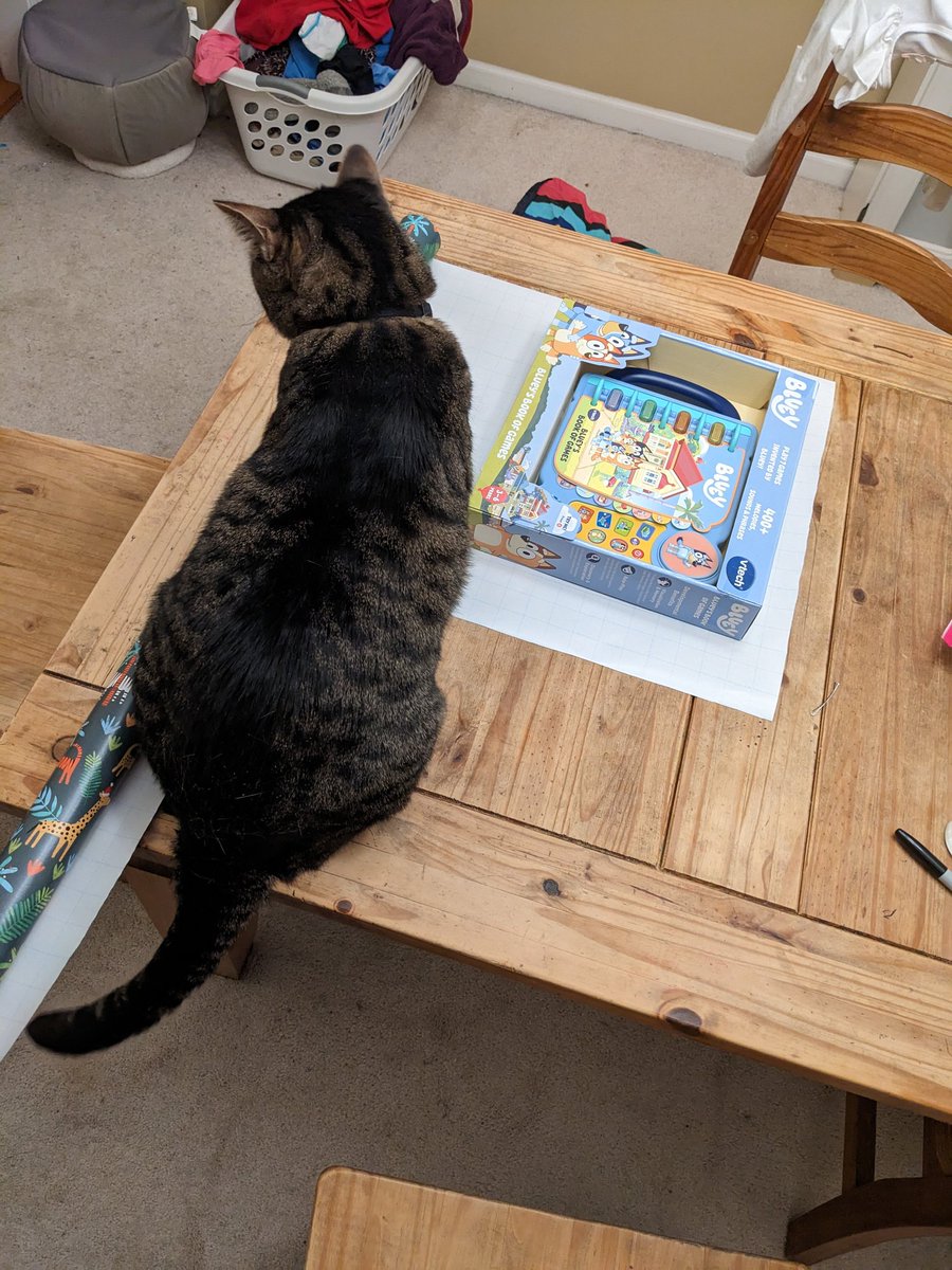 mikebridge's tweet image. Auggie slept all day on the bed, but decides he needs to help when I&apos;m wrapping presents.