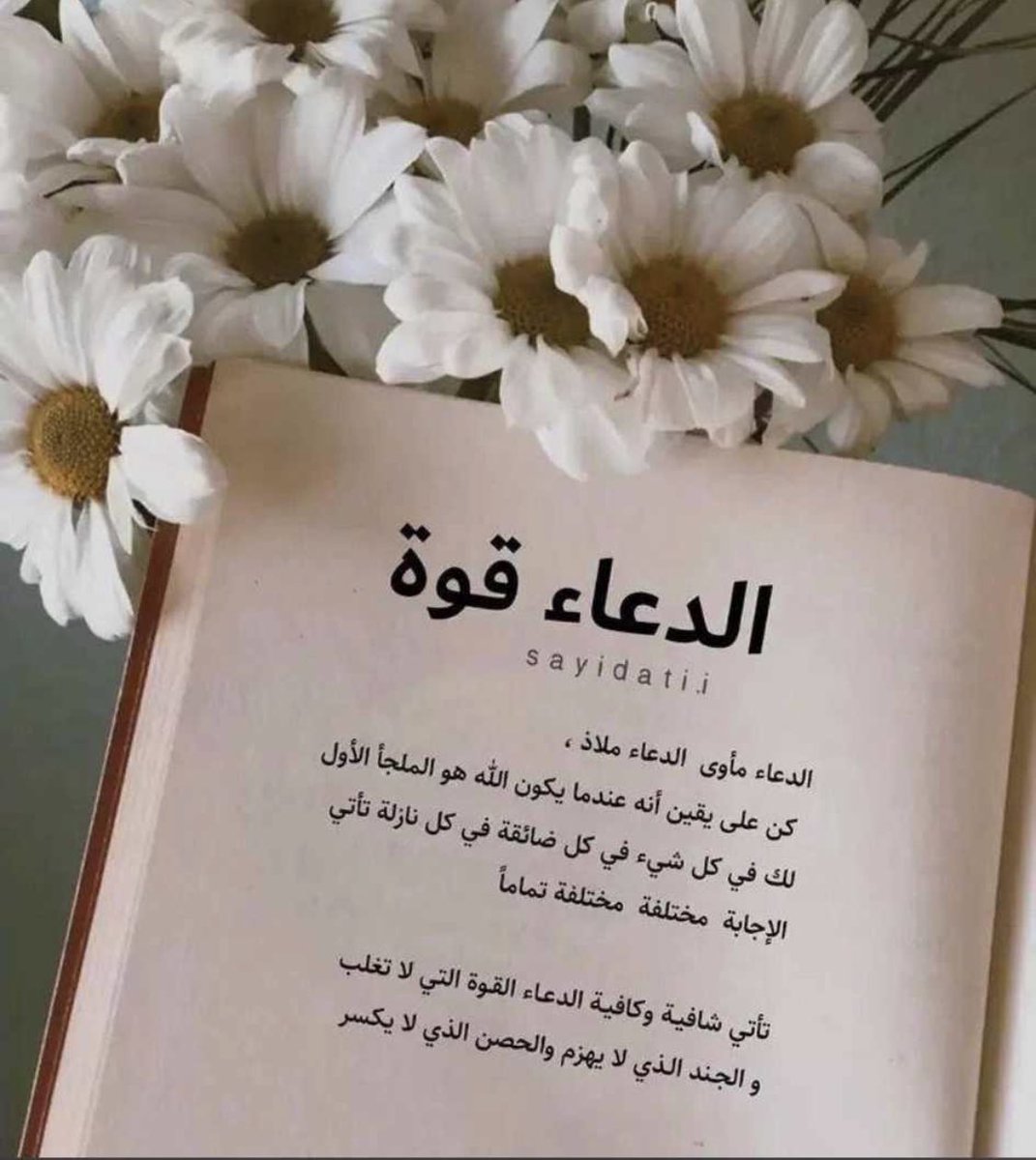 m128812's tweet photo. #نجران_الان https://t.co/Ov4j2aCgol