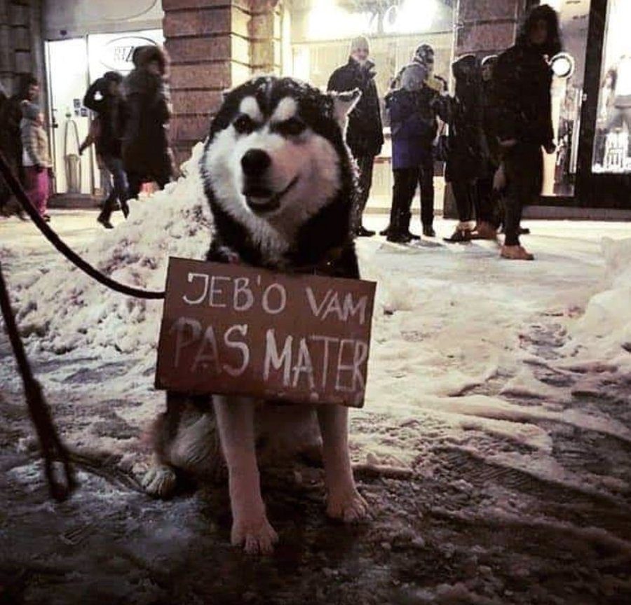 DanielKalan's tweet photo. Ne meči petard,
ne bodi retard. https://t.co/Z6eeLJzacr