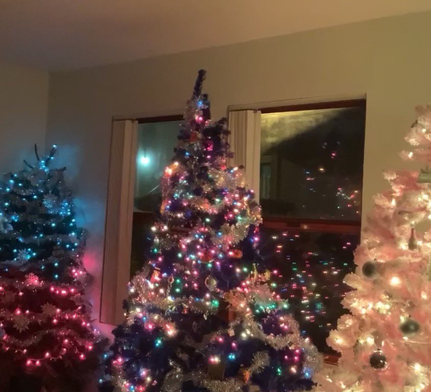 TheSuperAmanda's tweet photo. Merry Christmas everyone! 

❄️🥂🍾🎅🏻🎅🏾🎅🏼#merrychristmas #californiachristmas #merrychristmas🎄 #Christmas2022 #ChristmasSong #BestWishesToAll #SuperAmanda #KingOfChristmas #nordmanfirchristmastree #perfectholidaytree #bluechristmastree #pinkchristmas #pinkchristmastree https://t.co/8TvQTfs4Yn