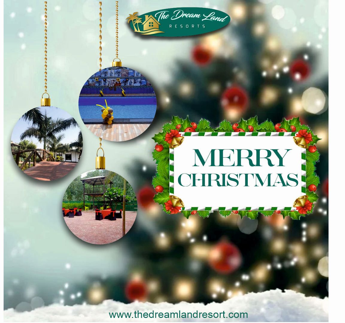 TheDreamLandRe1's tweet photo. Dreamland Wishes you a MERRY #CHRISTMAS.🎄

Come and enjoy a peaceful yet joyful Christmas with Dreamland resorts.🥰

For further queries; Contact
📩https://t.co/N9TnWB4pwV
📞+91-7042082686
#resortsindelhi #resortsindelhincr #weekendgetaway #relaxingweekend
#weekendresort https://t.co/XxClqUvAqK