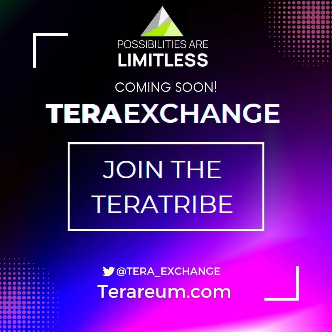 RDPrice's tweet photo. #TeraExchange launches December 26th!   Here she comes, India! 🇮🇳 
FAST Withdrawals ⚡️🍀
@Tera_Exchange https://t.co/qbZuDQDWZn
