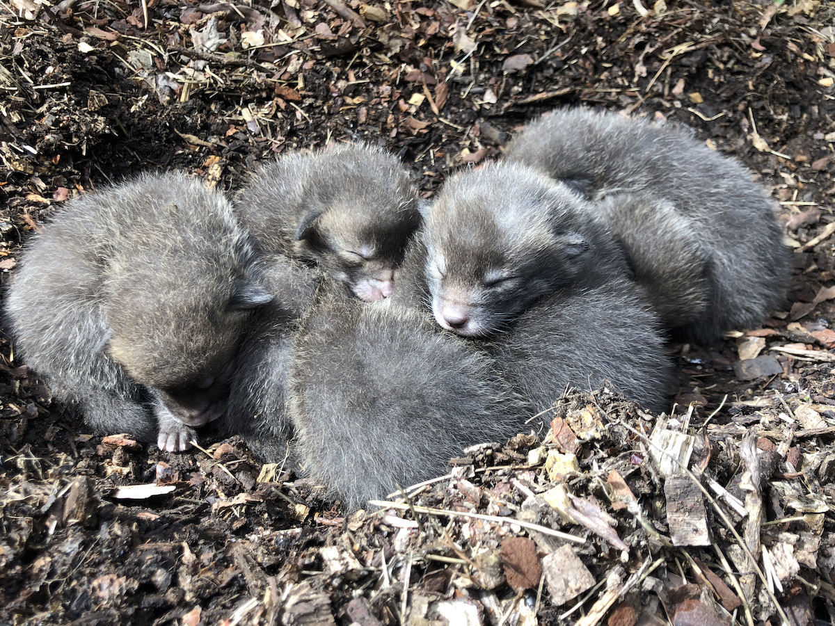 Merry Christmas to you all - may your day be filled with food and festivities! 🎄🎁☃️