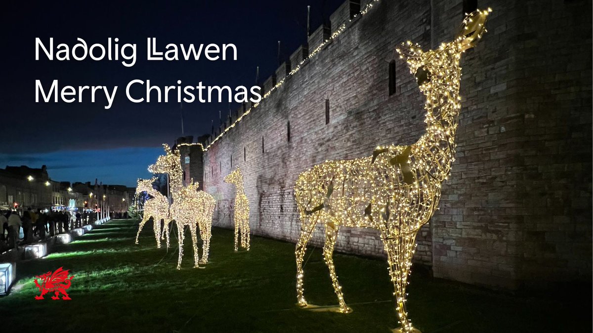 ✨ Nadolig Llawen | Merry Christmas ✨