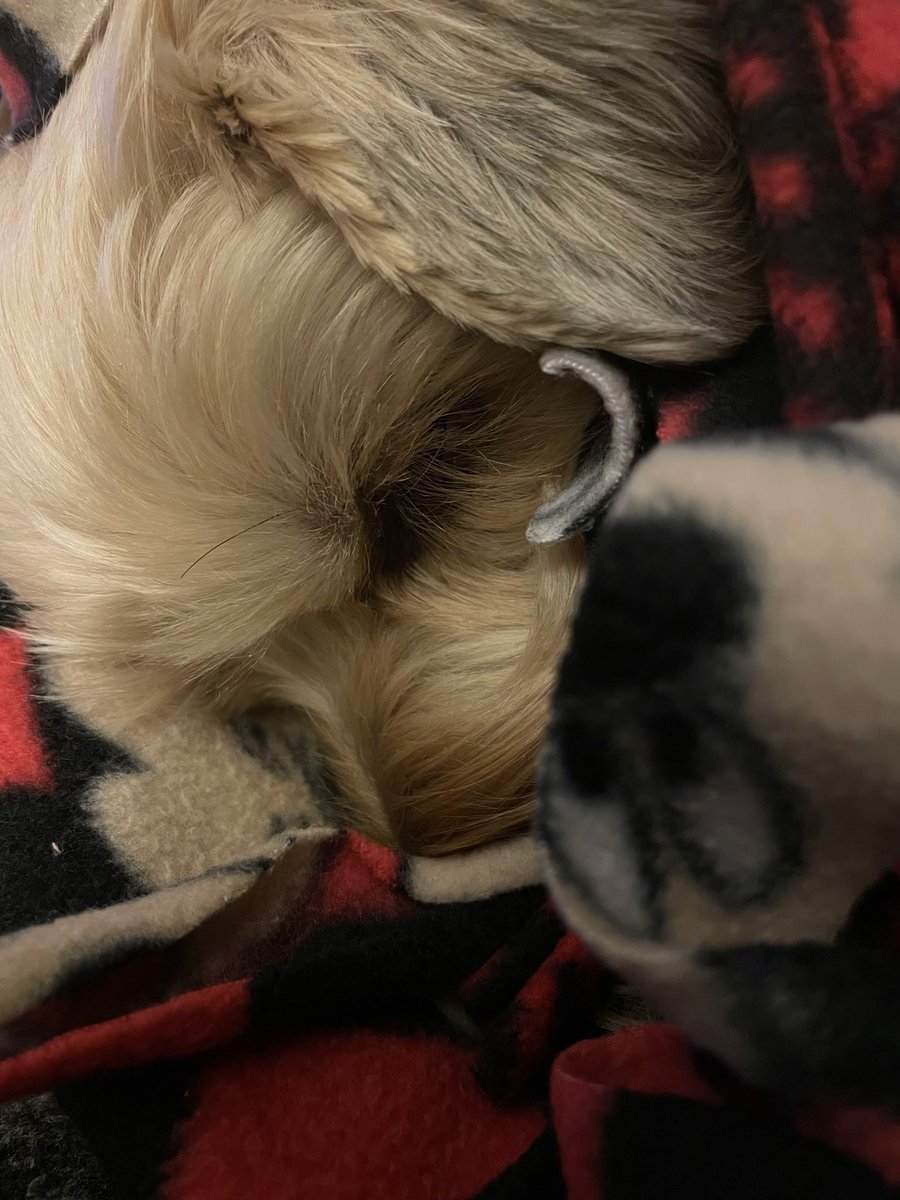 Red Socks Go With Absolutely Anything tweet media