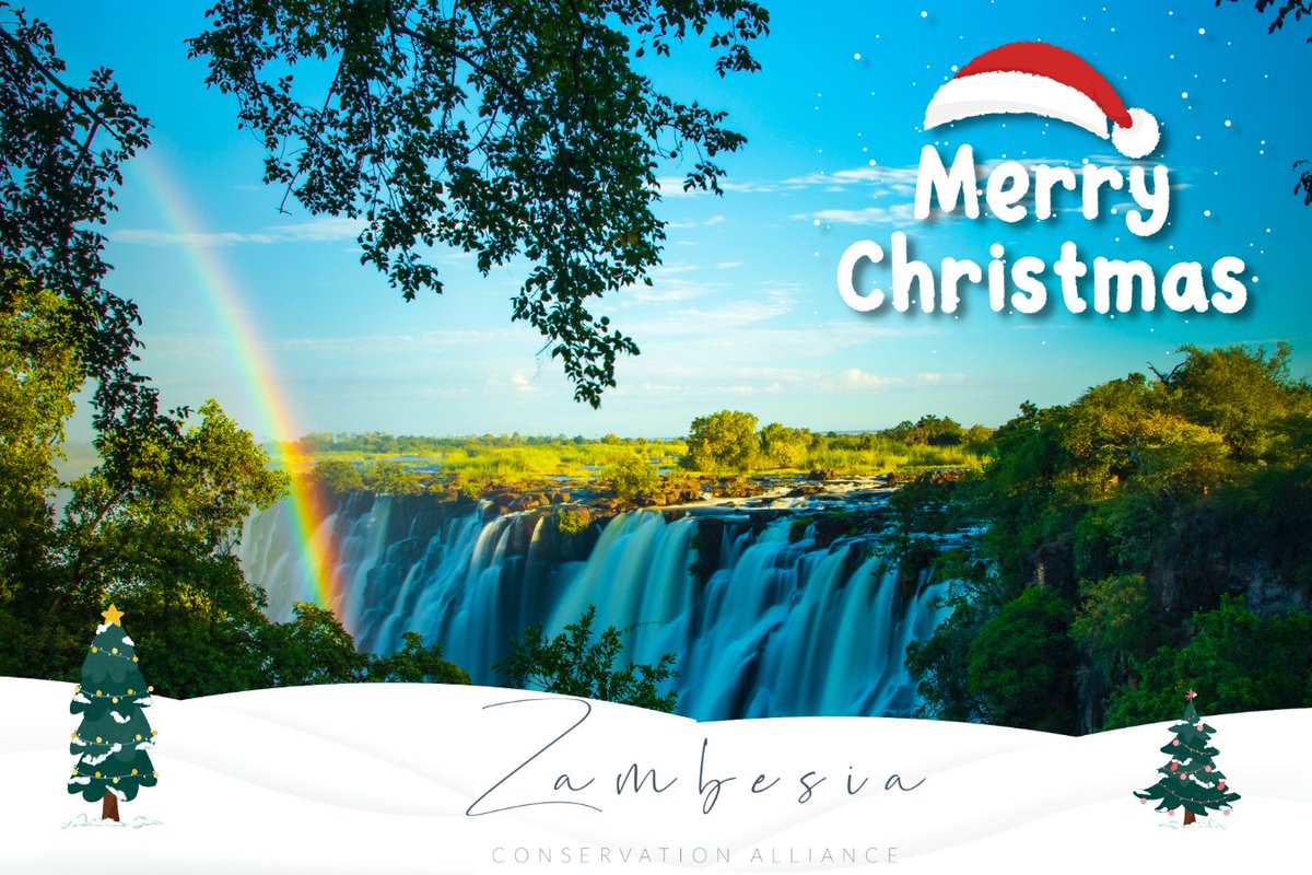 Wishing you a Merry Christmas. #WeShareAfrica #Zambesia #SportforConservation #ConservationGames #WildlifeConservation #Conservation #AfricaConservation