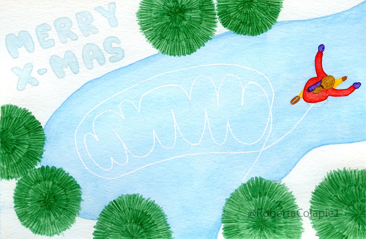 I wish you a wonderful Christmas (if you celebrate it) or a wonderful Sunday! I have selected some cool papers in #cancermetabolism and #mitochodrnal biology for your readings: biomed.news/bims-camemi/20… <a href="/Bims_BiomedNews/">Bims: Biomed News</a> 

And now, a gift from @RobertaColapie1 
"Citric iced cycle"