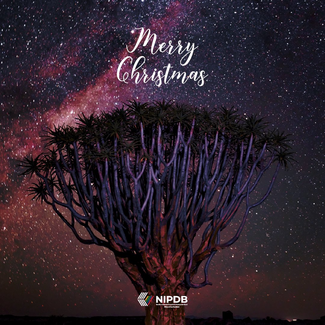 Namibia Investment Promotion & Development Board tweet media