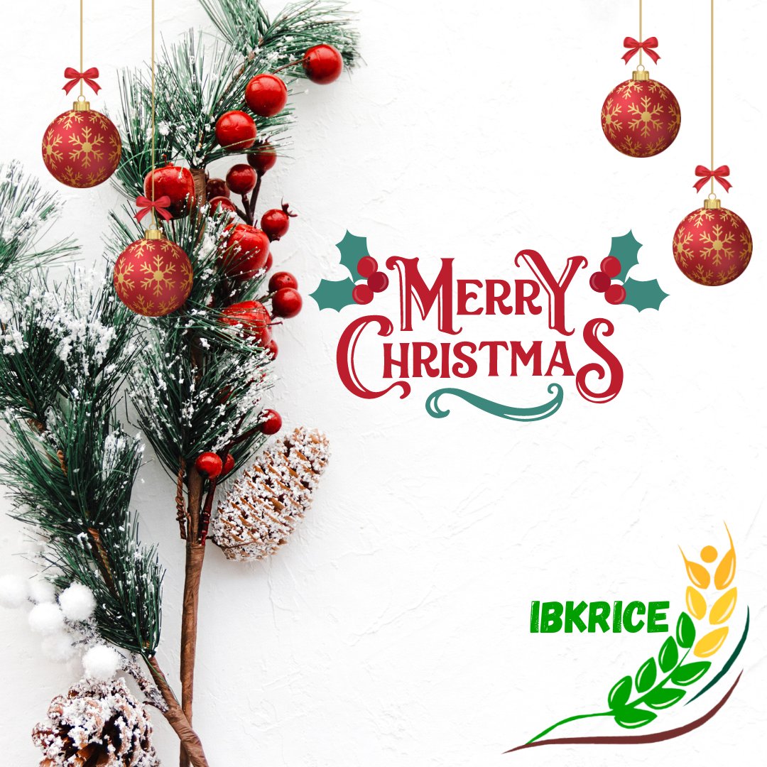 IbkRice's tweet photo. Merry Christmas from the entire IBKRice family ❤️🌾

Enjoy a delicious and nutritious meal with IBKRice.

#familyfarm #organicfarm #organicfarmer #organicfarming #nigerianfarmer #farming #ricefarm #holidays #happyholidays #holiday2022 #merrychristmas https://t.co/9uP1bvGJlF