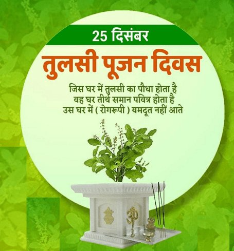 star_boy_2001's tweet photo. Happy Tulsi Pujan Diwas to all of you 🙏❤️😊🎉
(आप सभी को तुलसी पूजन दिवस की हार्दिक शुभकामनाएं 🙏❤️😊🎉)
#star_boy_2001 #happytulsipujandiwas #jaitulsimata #jaimatadi #JaiHind https://t.co/O46BxbN1dR