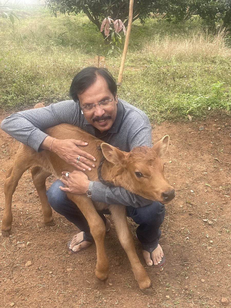 RajeevRai's tweet photo. 2 दिन पहले बंगलौर के फ़ार्महाउस में आए नए मेहमान का स्वागत..💐

स्वर्गीय पिताजी के गऊ प्रेम की निशानी 😊 https://t.co/WZqOFn6YEu