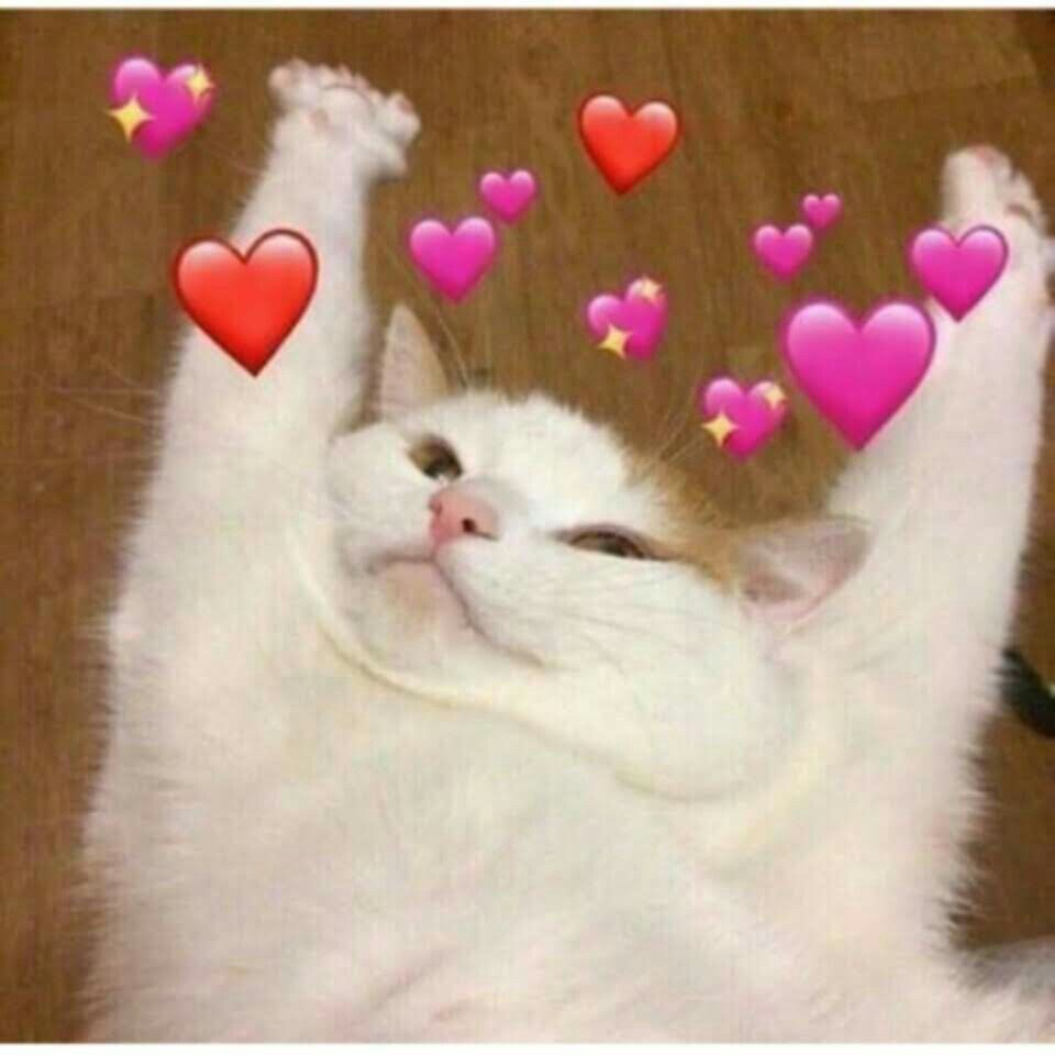 ItsToxumi's tweet photo. HAPPY HOLIDAYS! Here is an appreication thread I made about all the amazing and wonderful people that have helped/impacted me through this year! I love y'all so much <3 

People tagged in replies that way it doesn't spam them <3 

https://t.co/DxLIrHagT6 https://t.co/A7aXUbZyyA