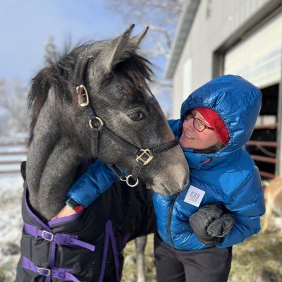 🦄 Getting some hard to reach itches for my baby #Lipizzan🦄