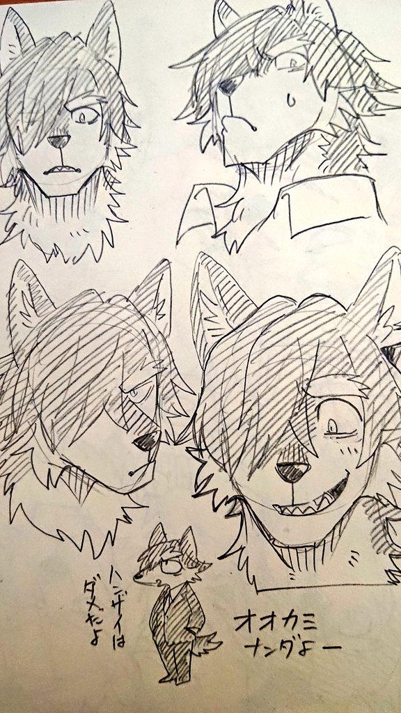 🐺🐺🐺🐺🐺 