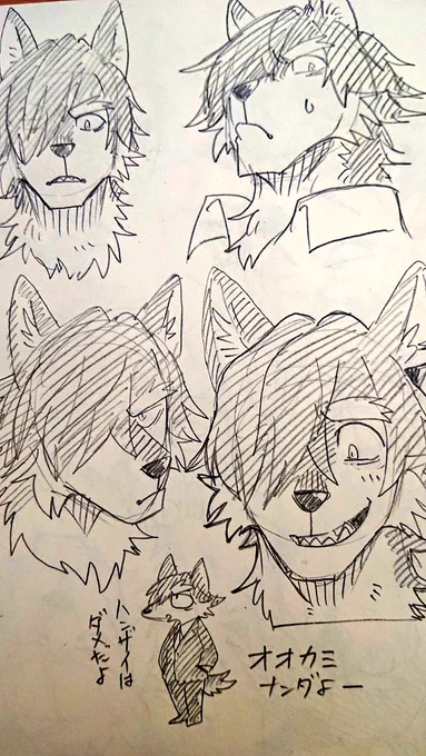 🐺🐺🐺🐺🐺 