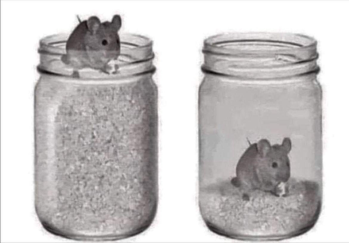 3lessons

1) Short term pleasures can lead to long-term traps.

2) If things are coming easy and you are getting comfortable, you are getting trapped into survival mode.

3) When you’re not using your skills, you will lose more than your skills. You lose your CHOICES.