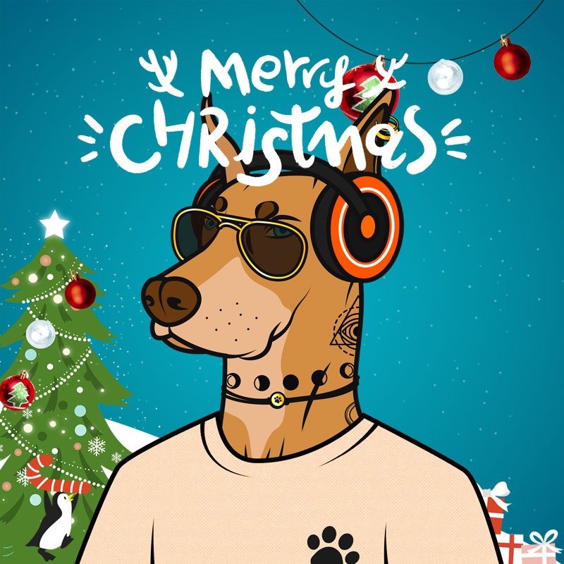 SoloDog tweet media