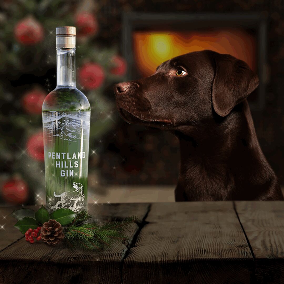 Woof woof woof! It's Panza here, wishing you all a very Merry Christmas from myself and everyone at Pentland Hills Gin! 🎄🎁

#merrychristmas #christmas #xmas #christmastime #happyholidays #noel #happynewyear #feliznavidad #seasonsgreetings #pentlandhills #pentlandhillsgin