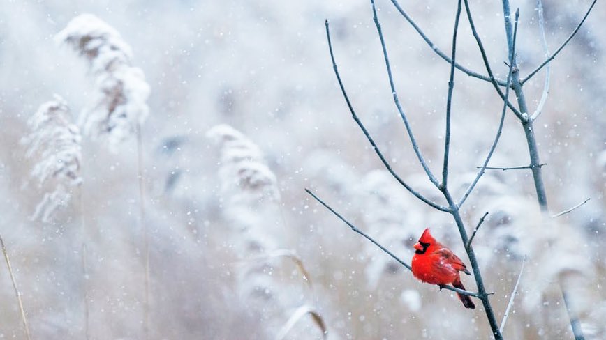 Ich hoffe, es war und ist fein bei Euch.
#FroheWeihnachten2022
#MerryChristmas2022