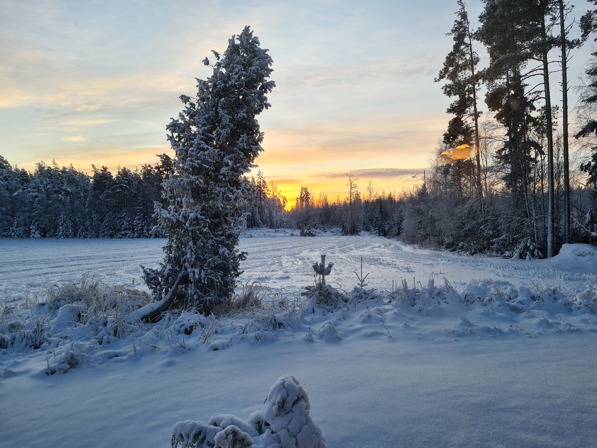 Joulupäivän aamu valkenee perinteisesti Laitilan maaseudun maisemissa. Rauhallista joulunaikaa!