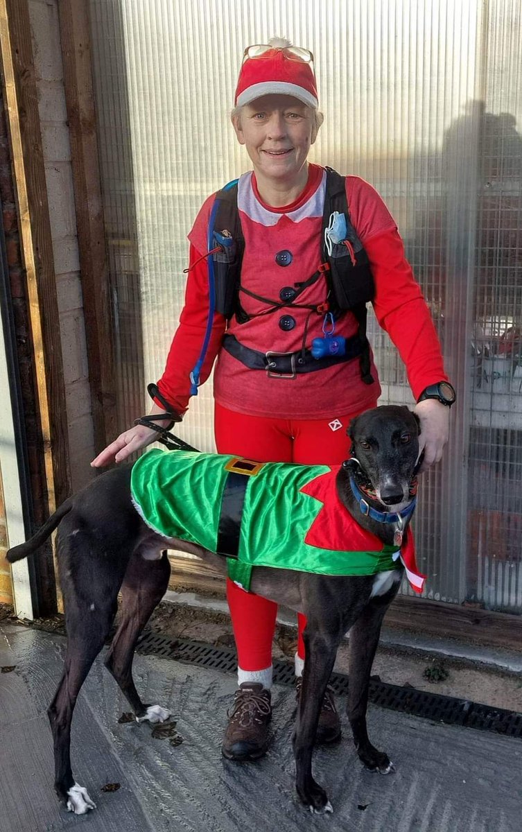 🎄🎄MERRY CHRISTMAS TO YOU ALL!🎄🎄

Suitably attired Volunteer Cheryl and kennel hound HUGO are here today to wish you a very Merry Christmas. @MakantsGreys #rescuedogsoftwitter #rescuedogs #greyhoundrescue  #Hugo #tyldesley