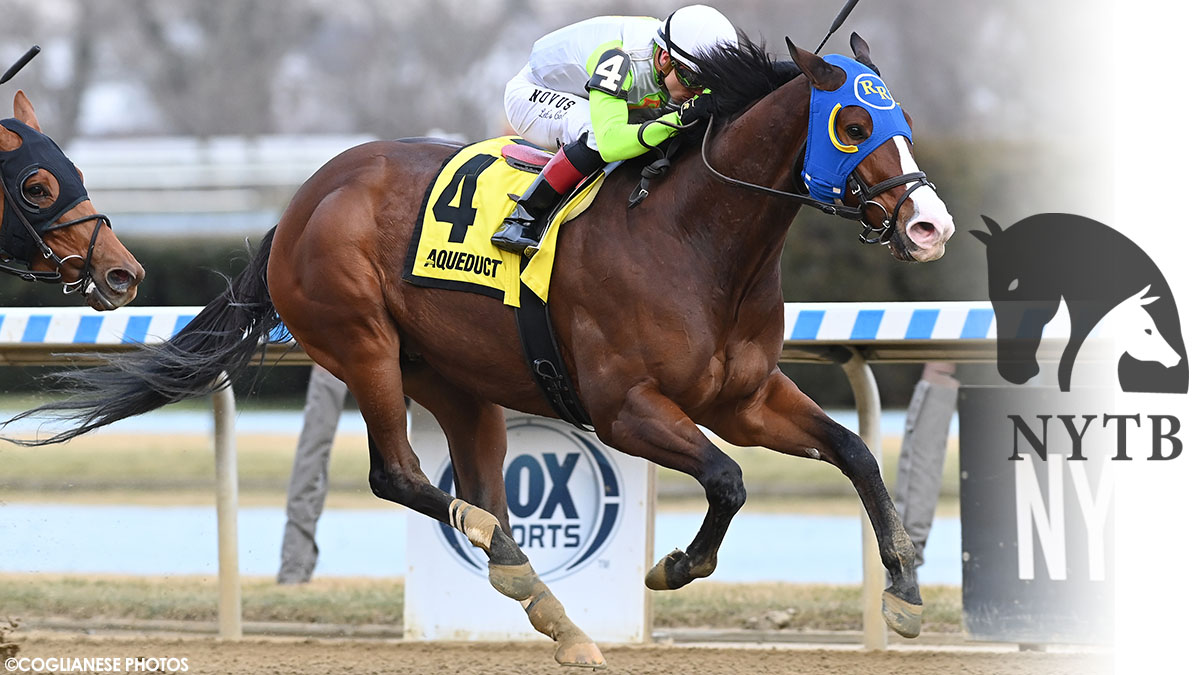nytbreeders's tweet photo. Consistent, popular #NYbred Wudda U Think Now landed his second straight stakes victory! Mina Equivest, LLC bred The Elkstone Group's gelding, who was foaled at Five Oak Farm in #Saratoga. Full recap of the Say Florida Sandy: https://t.co/vUadiOOeKg https://t.co/NDIvfmEoBj