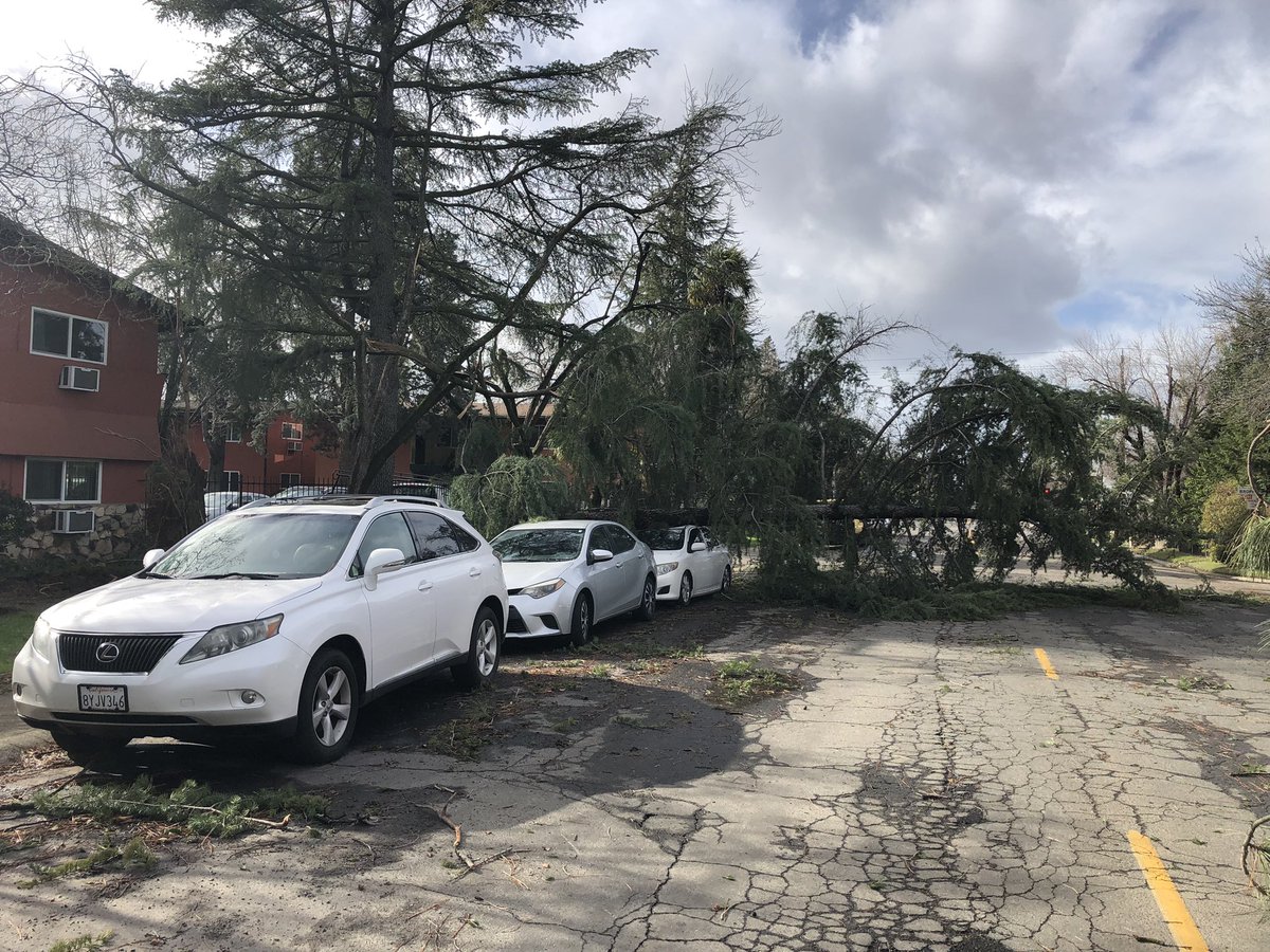 The last 2 storms that came through Sacramento have made for a lot of damage. Only more to come.