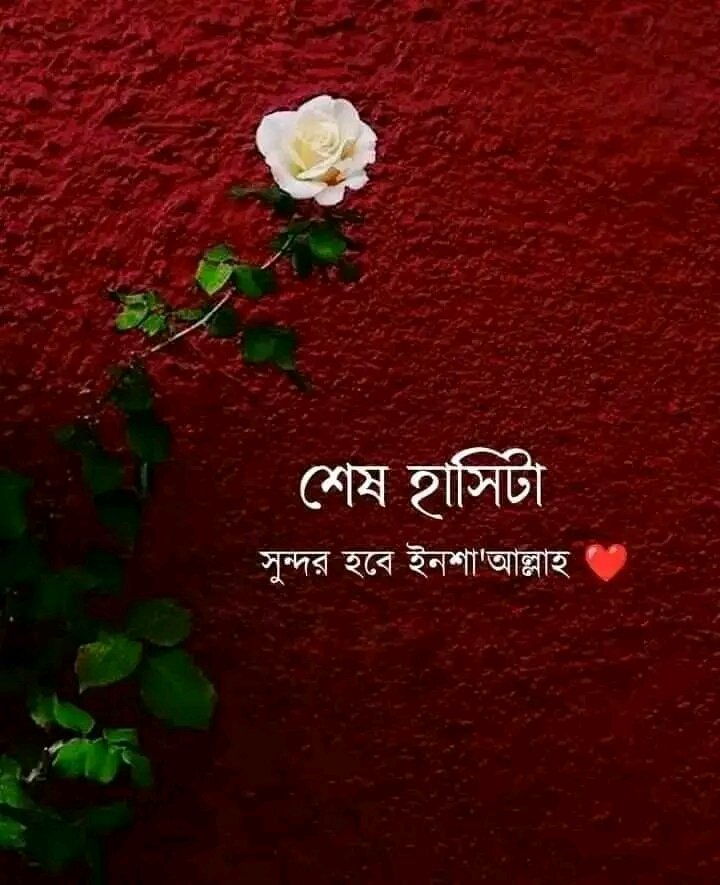 MEHEDI HASAN (@soyedmehedi) on Twitter photo 